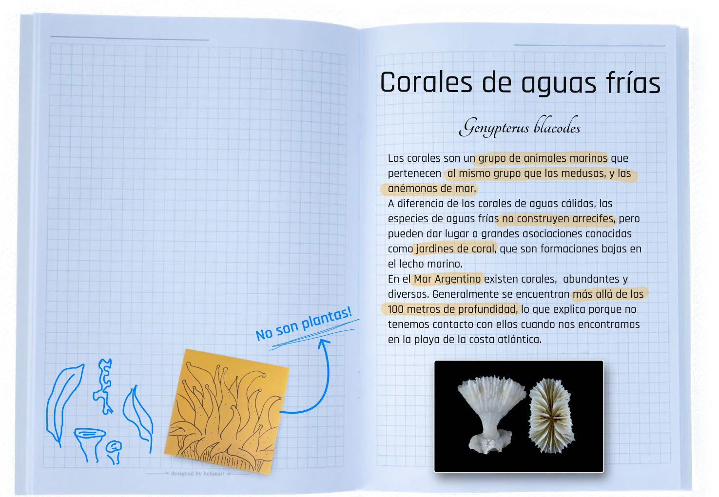 Carpeta Info Corales